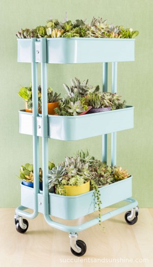 How to Plant a Succulent Garden in an Ikea Cart