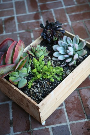 Wine Crate Planter DIY