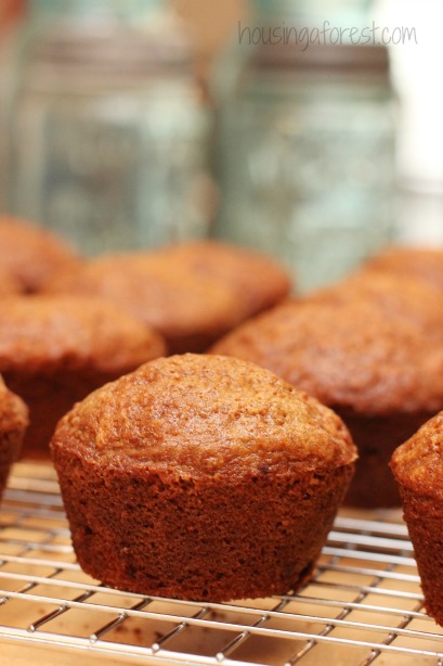 Morning Glory Muffin Recipe ~ Delicious healthy breakfast recipe.  Perfect for those on the go mornings.  