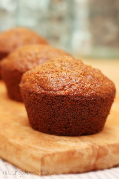 Morning Glory Muffin Recipe ~ Delicious healthy breakfast recipe.  Perfect for those on the go mornings.  