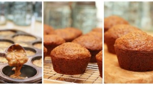 Morning Glory Muffin Recipe