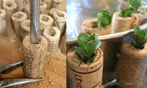 Mini Succulent Cork Planters